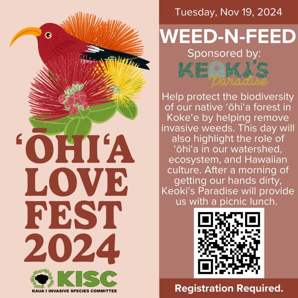 graphic announcing weed-n-feed event during 'Ōhi'a love fest on tuesday, november 19, 2024.